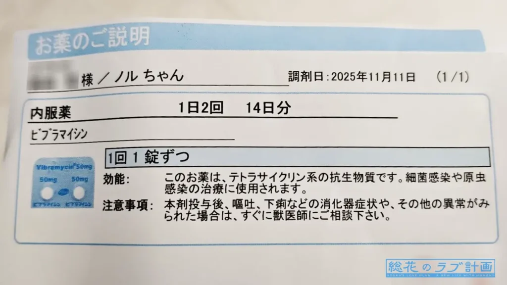 内服薬（ビブラマイシン）14日分