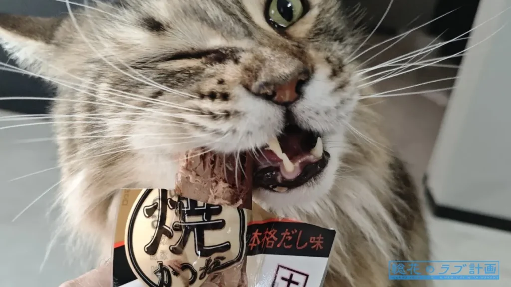 豪快にかぶりつくノル