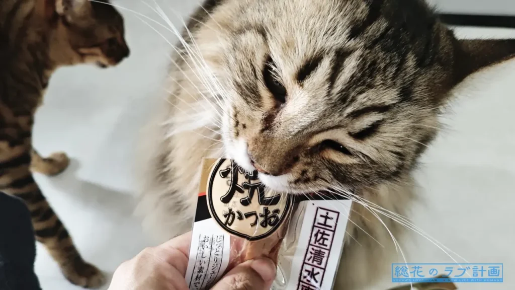 美味しそうにおやつを食べるノルの背後に迫る影…